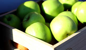 Green apples in a wooden box №47367