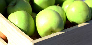 Green apples in a wooden box №47369