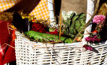 Autumn still life in basket