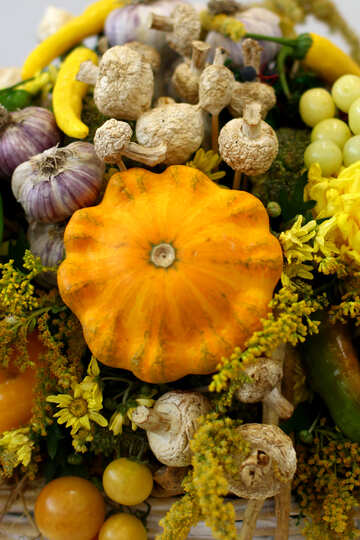 Autumn vegetables №47041