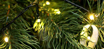 クリスマスツリー上のクリスマスライト №47831