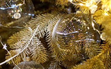 Transparent Christmas toy on a Christmas tree with bulbs №47770