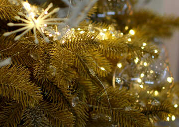 Christmas lights on a Christmas tree №47748