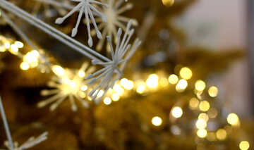 Christmas lights on a Christmas tree №47751