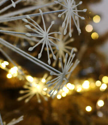 Christmas lights on a Christmas tree №47750