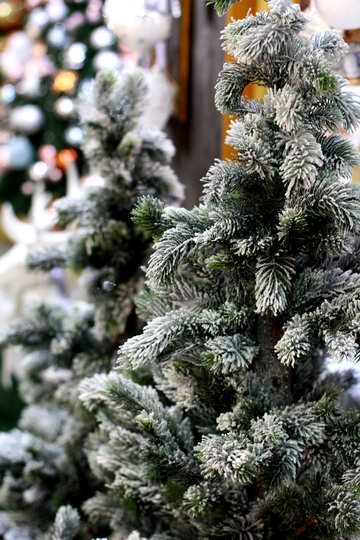 Christmas tree in the store №47610
