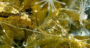 Glas Weihnachtskugel auf einem Zweig eines Weihnachtsbaums №47712