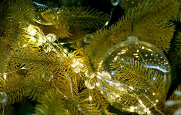 Glass Christmas ball on a branch of a Christmas tree №47716