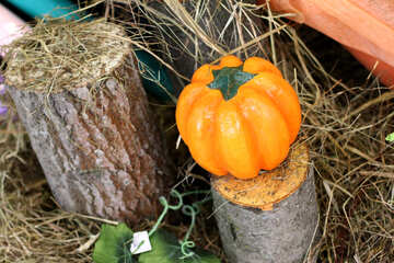 Pumpkin for Halloween №47243