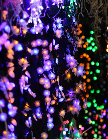 Lumières colorées lumière de Noël fond №47920