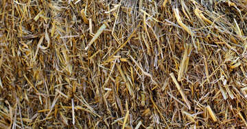 The texture of straw hay №47387