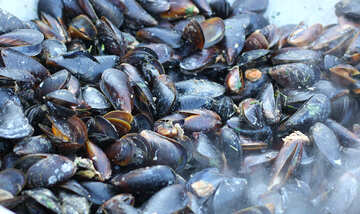 Mussels fried №47510