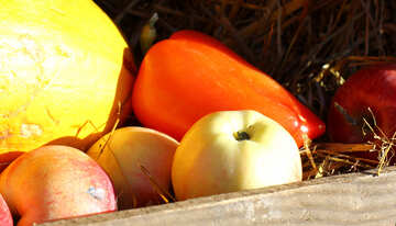 Zucche e mele nel fieno №47321