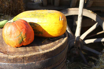 Pumpkins on a barrel №47331