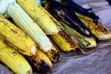 Corn grill maize №47485
