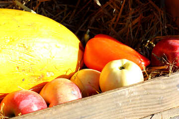 Abóboras e maçãs no feno №47320