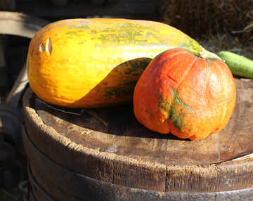 Pumpkins on a barrel №47332