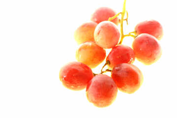 Pink grape isolated on white background №47270