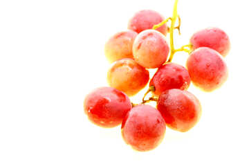 Pink grape isolated on white background №47271