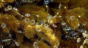 Christmas garland of lights reflection №47763