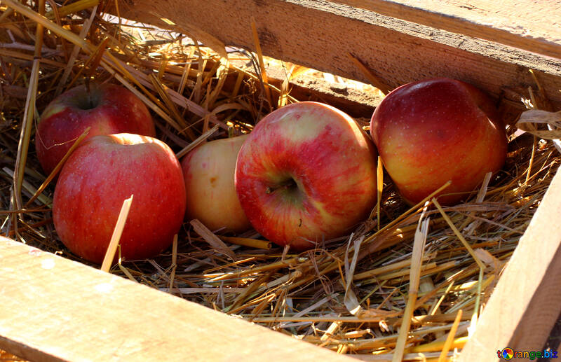 Manzanas naturales en una caja de madera en el heno №47360