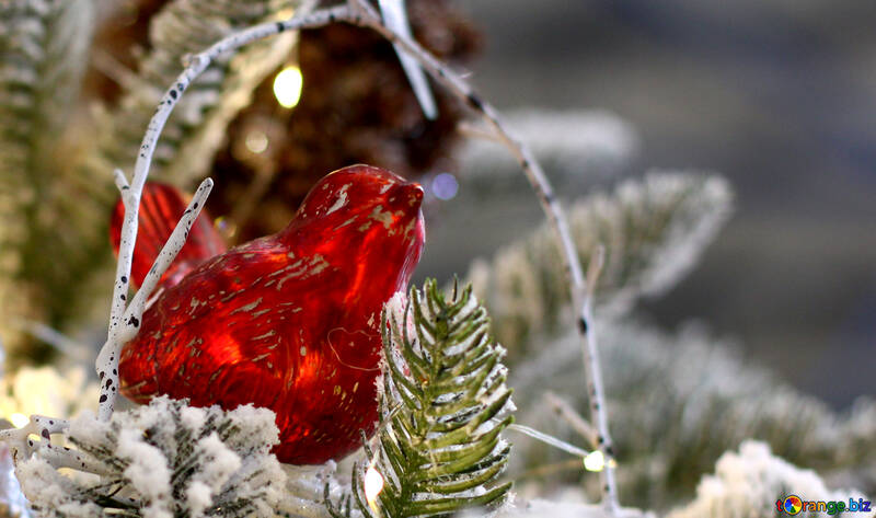 クリスマスの装飾赤い鳥 №47569