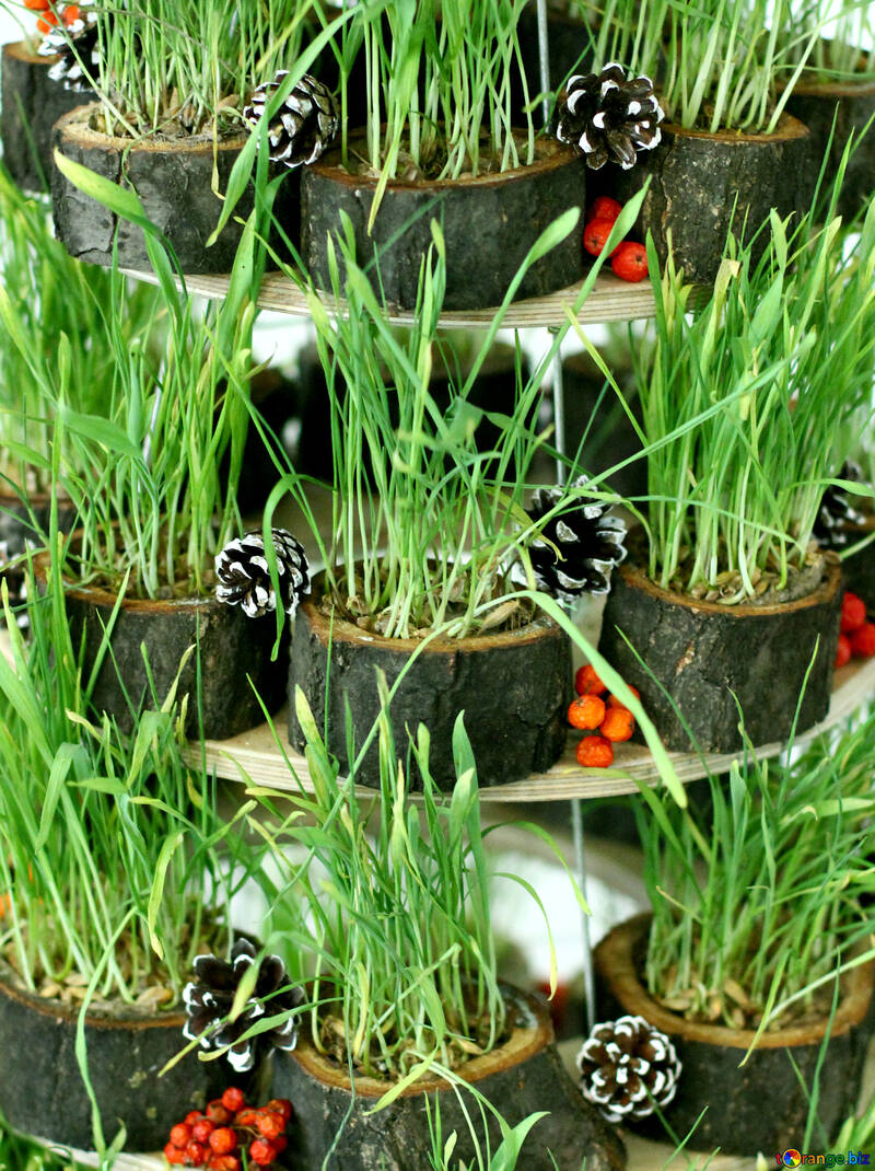 Новорічний декор з сухої трави №47702