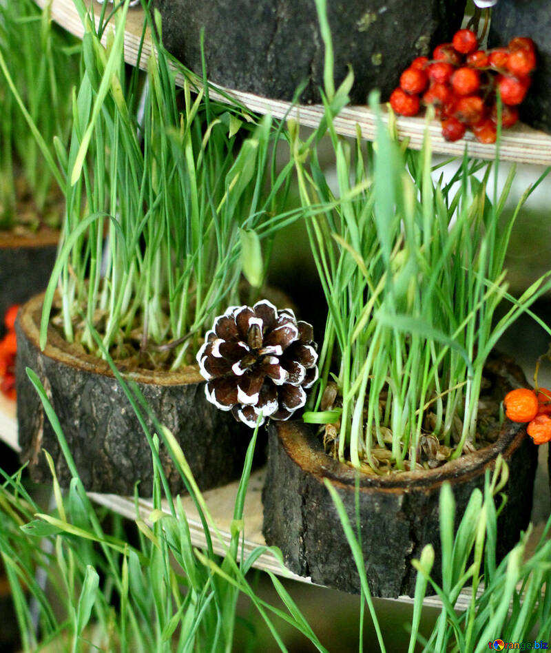 Christmas decorations from dry grass №47705