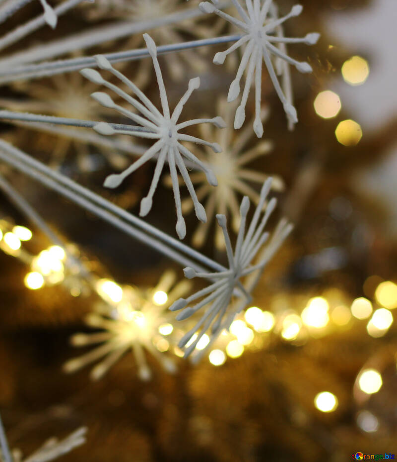 Las luces de Navidad en un árbol de Navidad №47750
