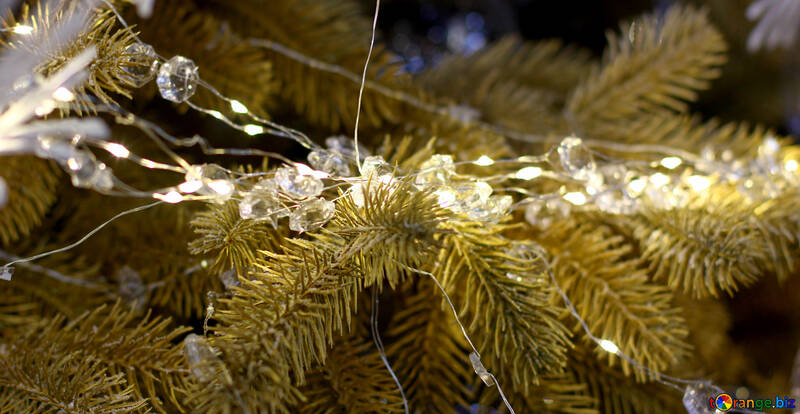 Lumières de Noël sur un arbre de Noël №47754