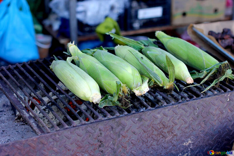 Corn on the grill maize №47481