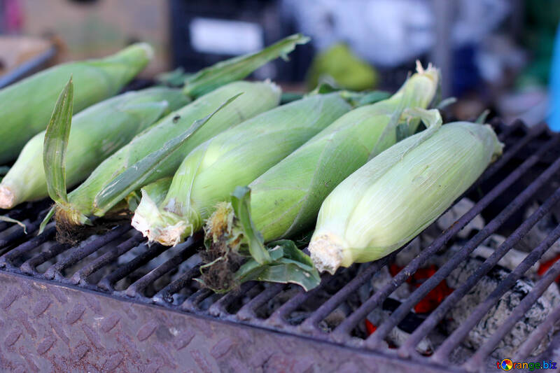 Corn on the grill maize №47482