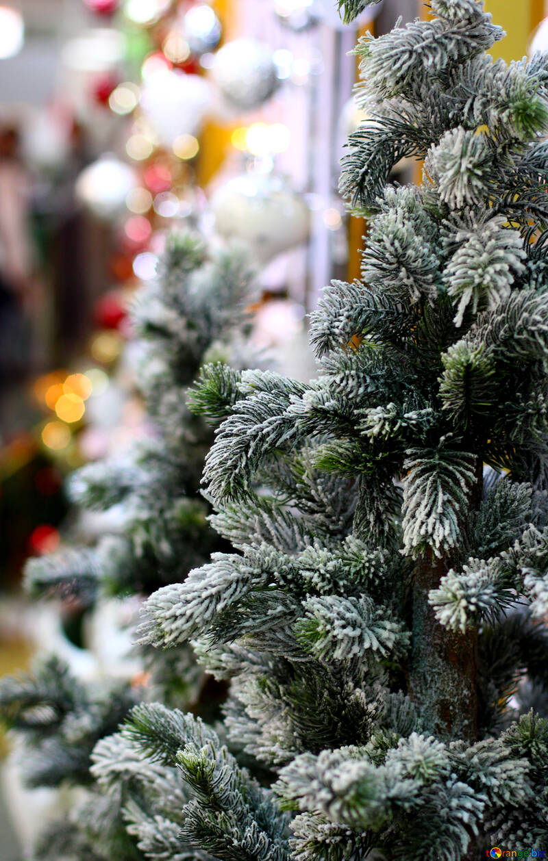 Árvore de Natal na loja №47612