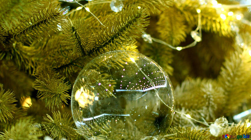 Boule de Noël en verre sur une branche d`un arbre de Noël №47710