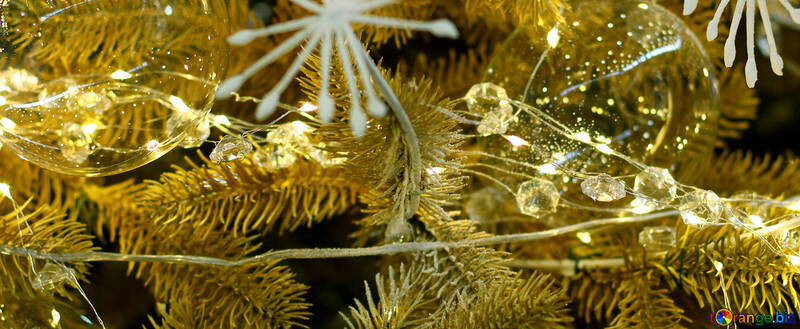 Glass Christmas ball on a branch of a Christmas tree №47713