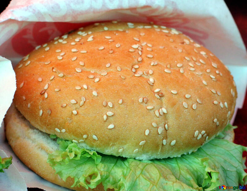Burger with salad №47417