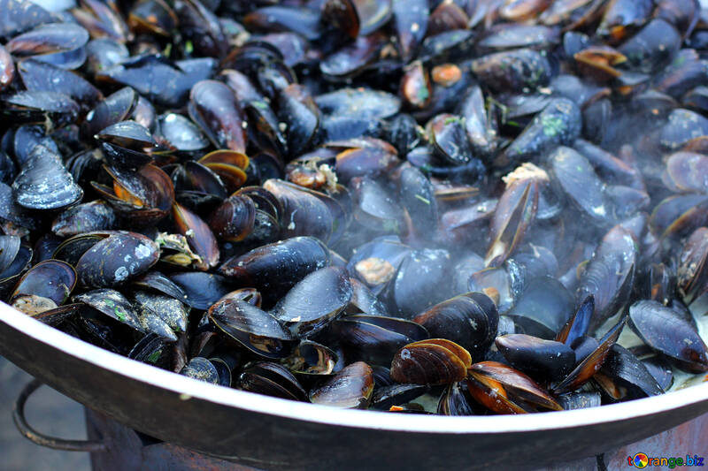 Mussels fried №47511