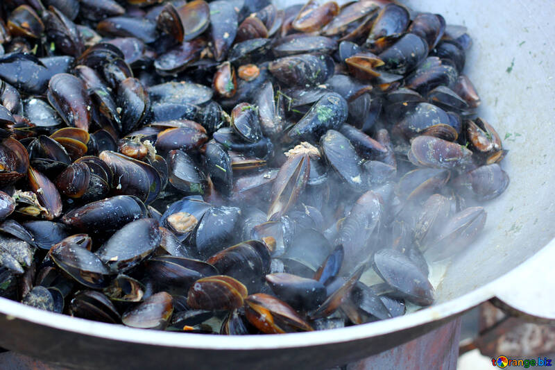 Mussels fried №47508