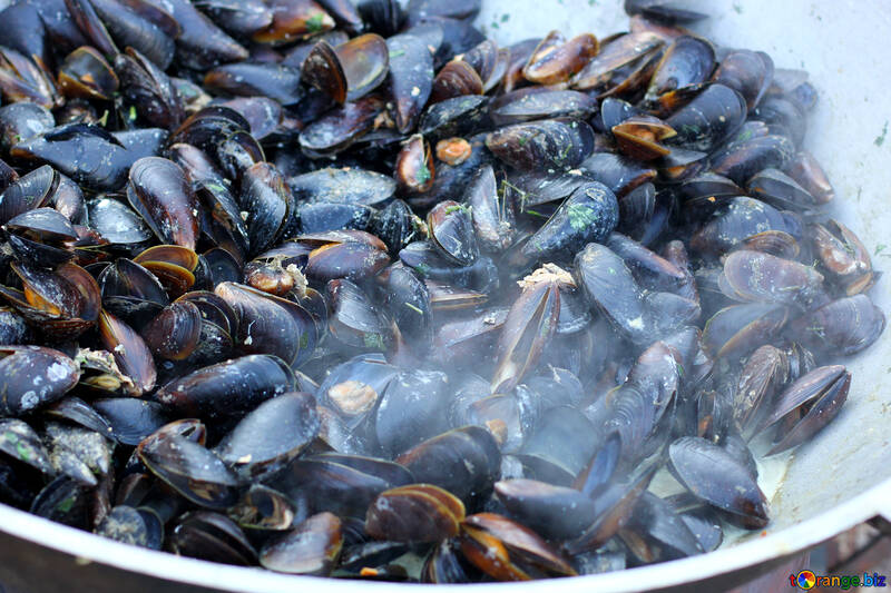 Mussels fried №47509