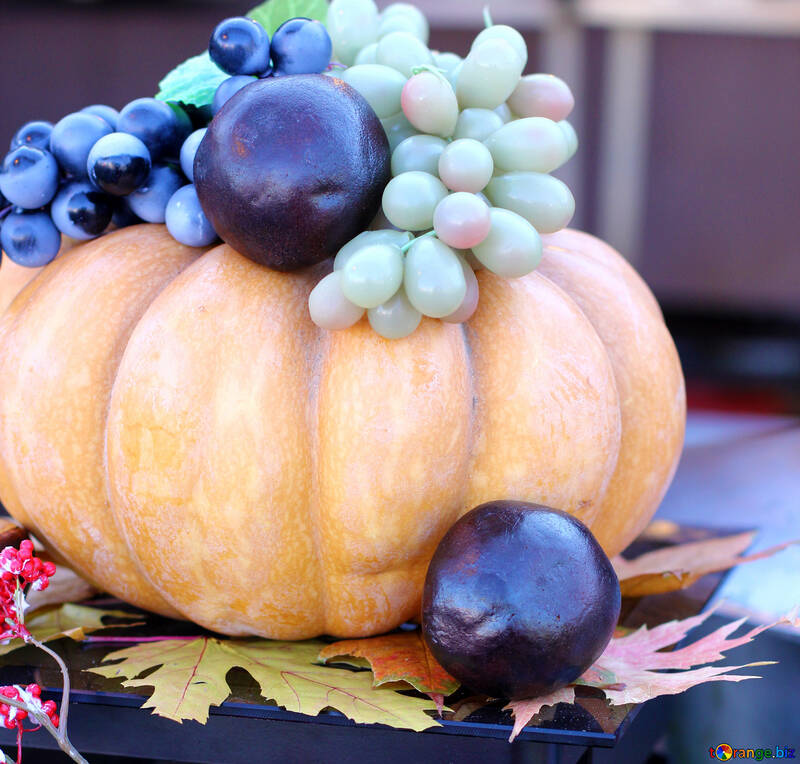 Pumpkin with grapes №47345