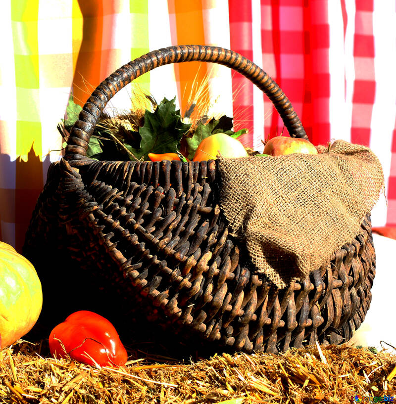 Autumn basket №47302