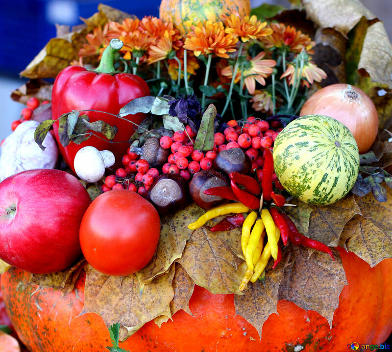 Autumn Still Life floristry, vegetables and fruit №47476