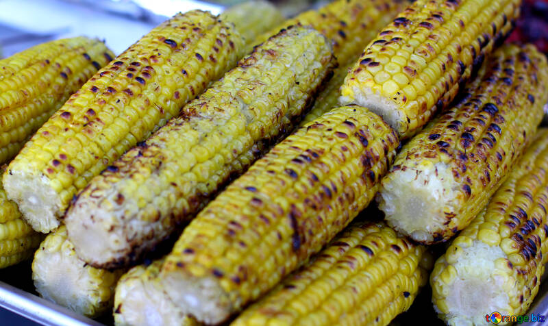 Corn grill maize №47479