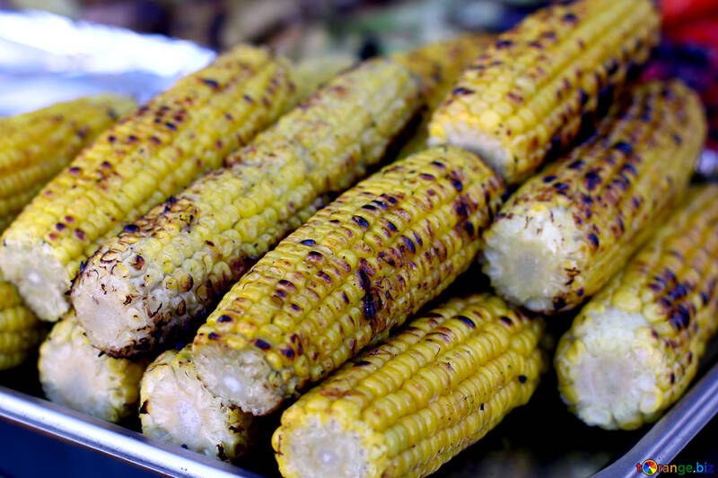 Corn grill maize №47480