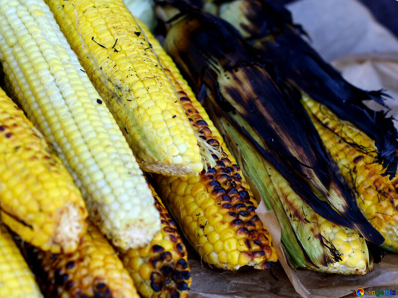 Corn grill maize №47484