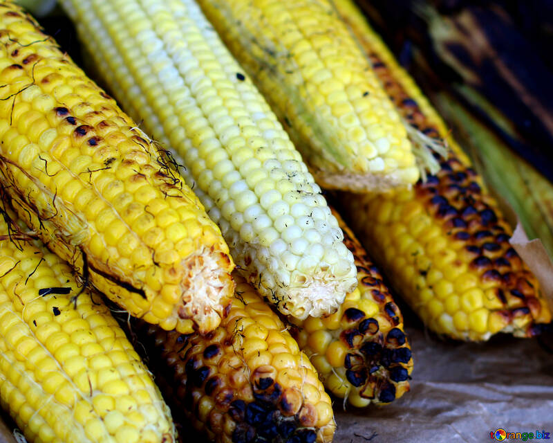 Corn grill maize №47486