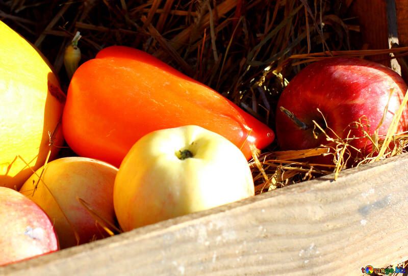 Calabazas y manzanas en el heno №47322