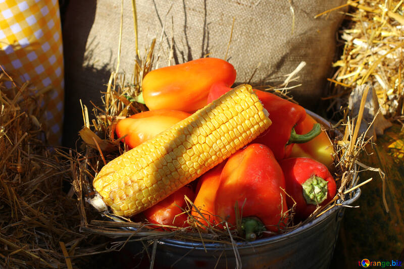 Autumn vegetables №47308