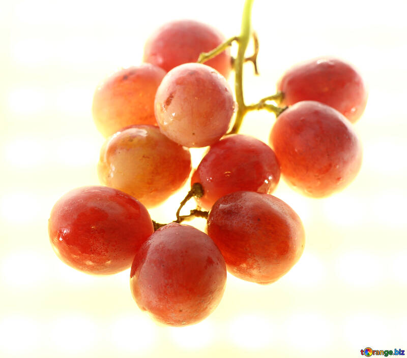 Pink grape isolated on white background №47269