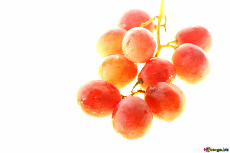 Рожевий виноград ізольовано на білому тлі №47270